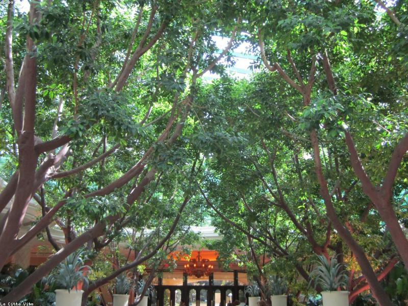 luxury modern landscaping design